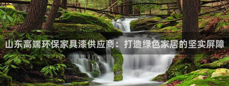 沐鸣2测速注册：山东高端环保家具漆供应商：打造绿色家居的坚实
