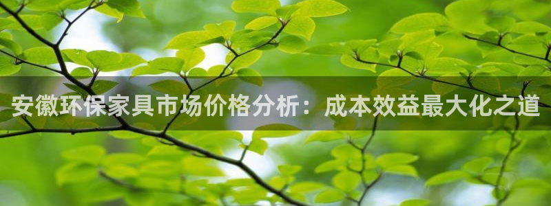 沐鸣2平台登录检测：安徽环保家具市场价格分析：成本效益最大化