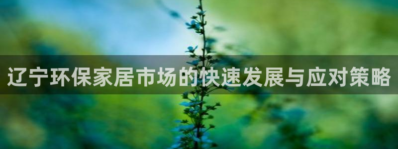 沐鸣2平台注册地址：辽宁环保家居市场的快速发展与应对策略