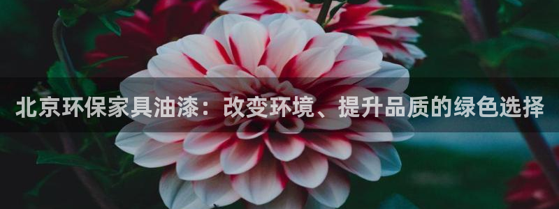 沐鸣2平台测速地址：北京环保家具油漆：改变环境、提升品质的绿