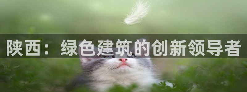 沐鸣2平台服务中心是干嘛的