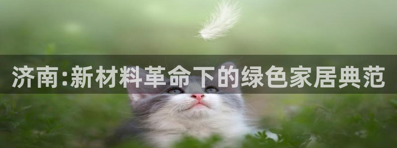 沐鸣2平台线路测速登录：济南:新材料革命下的绿色家居典范