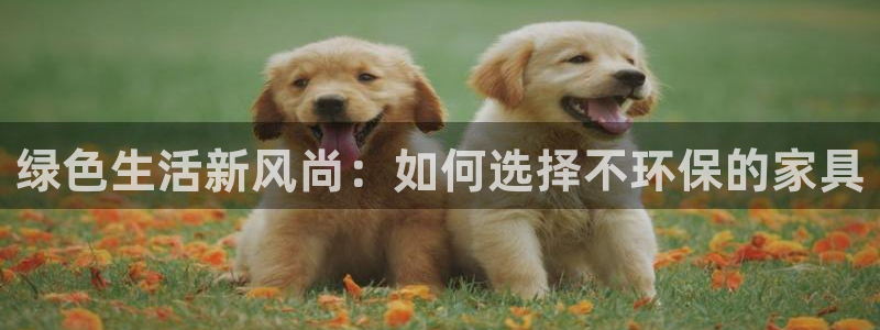 沐鸣2平台网页版：绿色生活新风尚：如何选择不环保的家具