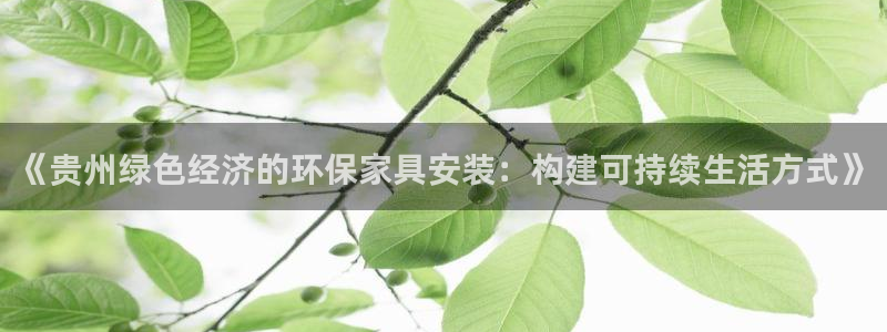 沐鸣2注册沐鸣2登陆：《贵州绿色经济的环保家具安装：构建可持