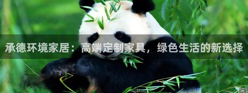 沐鸣2平台是真的吗：承德环境家居：高端定制家具，绿色生活的新