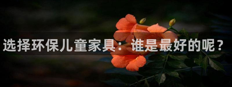 沐鸣2平台服务中心怎么样：选择环保儿童家具：谁是最好的呢？